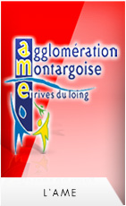 Logo agglo montargeoise